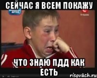 сейчас я всем покажу что знаю пдд как есть