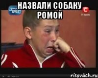 назвали собаку Ромой 