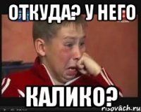 Откуда? У него Калико?