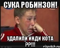Сука РОБИНЗОН! Удалили инди кота ??!!!