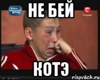 не бей котэ
