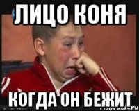 Лицо Коня Когда он бежит