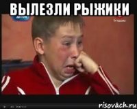 вылезли рыжики 