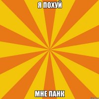 Я ПОХУЙ МНЕ ПАНК