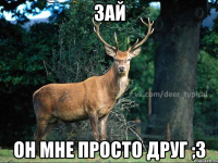 зай он мне просто друг ;3