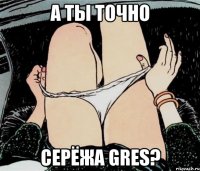 а ты точно Серёжа GreS?