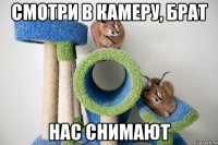 смотри в камеру, брат нас снимают