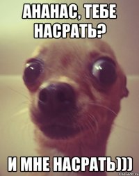 ананас, тебе насрать? и мне насрать)))