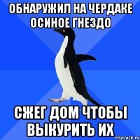 Обнаружил на чердаке осиное гнездо Сжег дом чтобы выкурить их