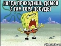 Когда приходишь домой а там гора посуды 