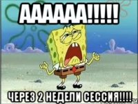 аааааа!!!!! через 2 недели сессия!!!!