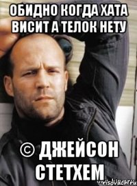 Обидно когда хата висит А телок нету © Джейсон Стетхем