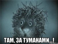  там, за туманами...!