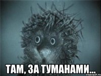  там, за туманами...