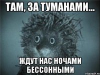там, за туманами... ждут нас ночами бессонными