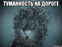 туманность на дороге 