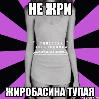 не жри ЖИРОБАСИНА ТУПАЯ