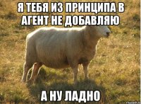 я тебя из принципа в агент не добавляю а ну ладно