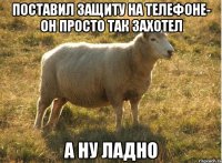 поставил защиту на телефоне- он просто так захотел а ну ладно