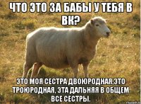 Что это за бабы у тебя в вк? Это моя сестра двоюродная,это троюродная, эта дальняя в общем все сестры.