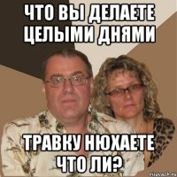 Что вы делаете целыми днями травку нюхаете что ли?