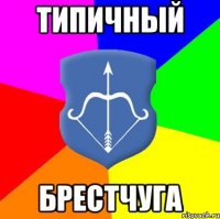 Типичный Брестчуга