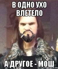 В одно ухо влетело А другое - мош