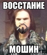 Восстание МОШин