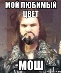 Мой любимый цвет Мош