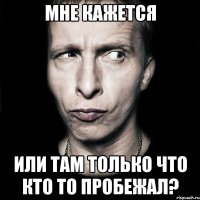 Мне кажется Или там только что кто то пробежал?