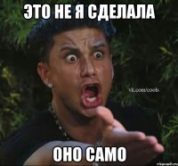 это не я сделала оно само