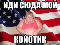 Иди сюда мой койотик