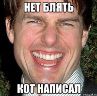 нет блять кот написал