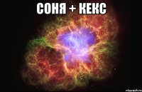 соня + кекс 