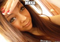 мика 