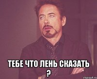  тебе что лень сказать ?