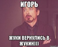 Игорь жуки вернулись в Жукин)))