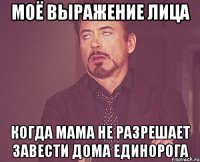 Моё выражение лица когда мама не разрешает завести дома единорога