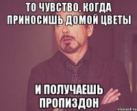 то чувство, когда приносишь домой цветы и получаешь пропиздон