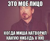 это моё лицо когда миша натворил какую нибудь х*ню