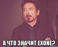  а что значит eXone?