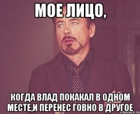 МОЕ ЛИЦО, КОГДА ВЛАД ПОКАКАЛ В ОДНОМ МЕСТЕ,И ПЕРЕНЕС ГОВНО В ДРУГОЕ