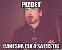 Pizdet Canesna cia a sa cistig