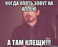 КОГДА ОПЯТЬ ЗОВУТ НА АЛЛЕЮ А ТАМ КЛЕЩИ!!!