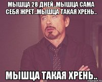 мышца 28 дней..мышца сама себя жрет..мышца такая хрень.. мышца такая хрень..