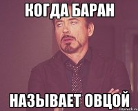 Когда баран Называет овцой