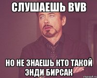 слушаешь BVB но не знаешь кто такой Энди Бирсак