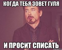 Когда тебя зовет Гуля И просит списать