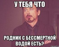 у тебя что родник с бессмертной водой есть?