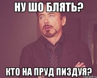 ну шо блять? кто на пруд пиздуя?